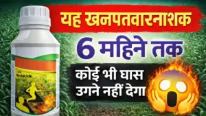 खेती में नई क्रांति: बायर ‘एलियन प्लस’ का एक छिड़काव और 6 महीने तक खरपतवार